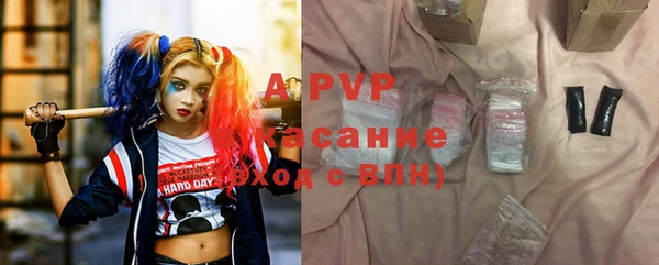 ECSTASY Ладушкин