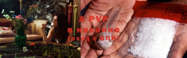 apvp Гусиноозёрск