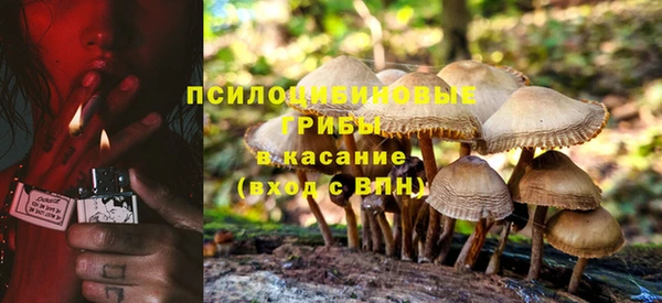 ECSTASY Ладушкин