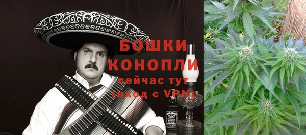 МДПВ Лагань