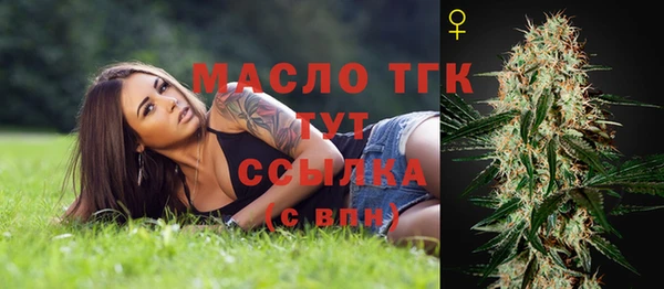 МДПВ Лагань