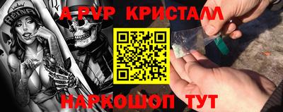 2c-b Кингисепп