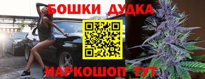 молекула духа Камышлов