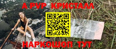 молекула духа Камышлов