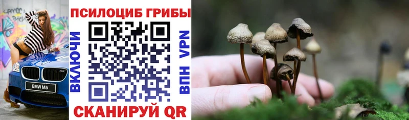 Псилоцибиновые грибы Magic Shrooms  Моздок 
