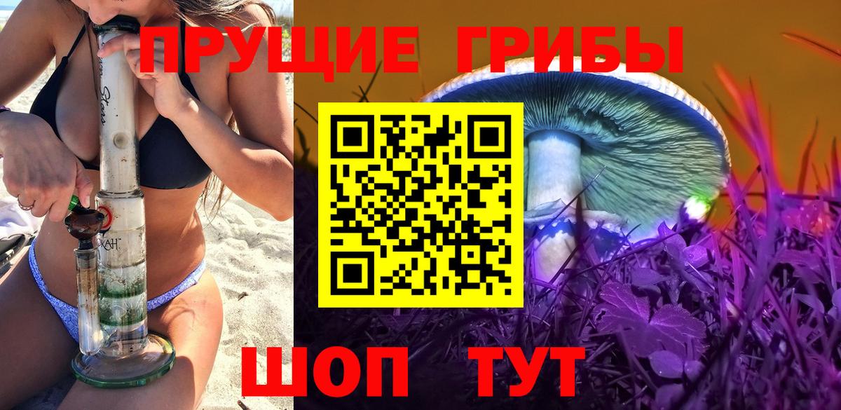 Псилоцибиновые грибы Psilocybe Моздок